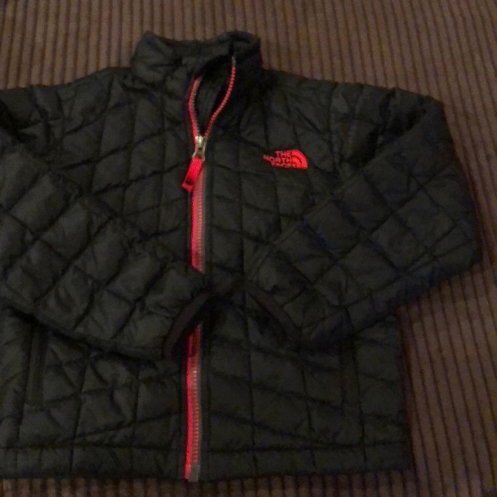The north face black jacket